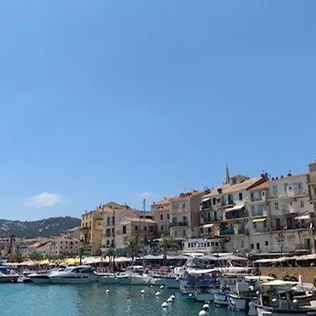 T3 A Calvi Avec Piscine Et Terrasse - Fr-1-719-26 *