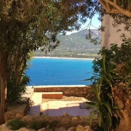 T3 A Calvi Avec Piscine Et Terrasse - Fr-1-719-26 Daire *