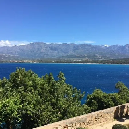 T3 A Calvi Avec Piscine Et Terrasse - Fr-1-719-26 شقة كالفي